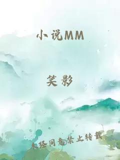 小说MM