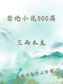 禁伦小说500篇