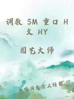 调教 SM 重口 H文 HY