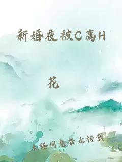 新婚夜被C高H