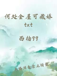 何处金屋可藏娇txt