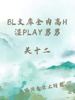 BL文库全肉高H湿PLAY男男