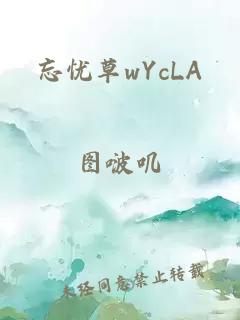 忘忧草wYcLA