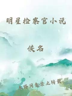 明星检察官小说