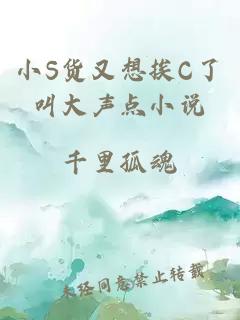 小S货又想挨C了叫大声点小说