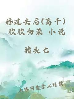 婚过去后(高干) 欣欣向荣 小说