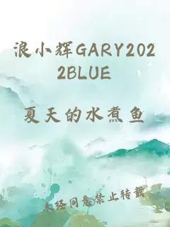 浪小辉GARY2022BLUE