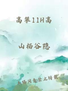 高攀11H高