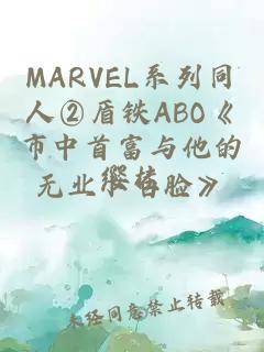 MARVEL系列同人②盾铁ABO《市中首富与他的无业小白脸》