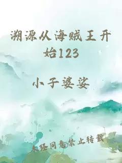 溯源从海贼王开始123