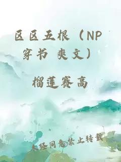 区区五根（NP 穿书 爽文）