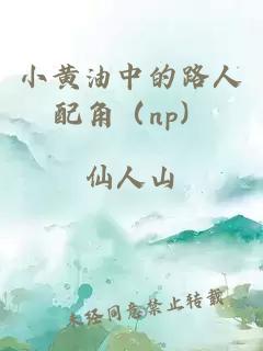 小黄油中的路人配角（np）