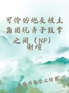 可怜的炮灰被主角团玩弄于鼓掌之间（NP）