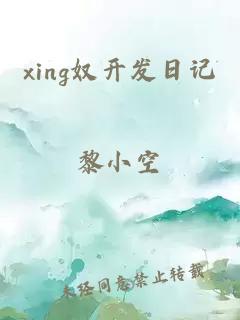 xing奴开发日记