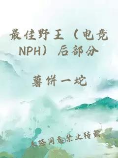 最佳野王（电竞NPH）后部分