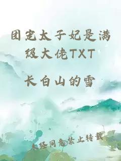 团宠太子妃是满级大佬TXT