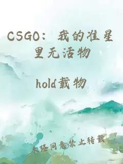 CSGO：我的准星里无活物