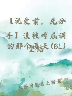 【说爱前，先分手】没被哼成调的那个夏天(BL)