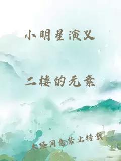 小明星演义