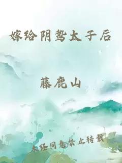 嫁给阴鸷太子后