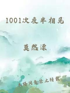 1001次夜半相见