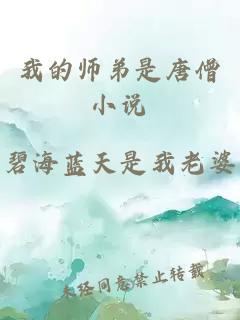 我的师弟是唐僧小说