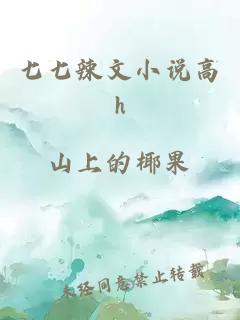 七七辣文小说高h