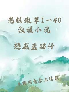 老根嫩草1一40淑媛小说