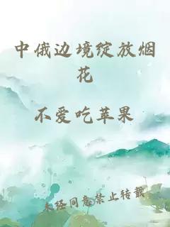 中俄边境绽放烟花