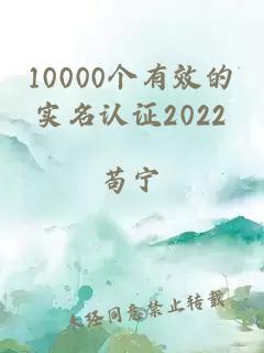 10000个有效的实名认证2022