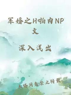 共享公主NPC