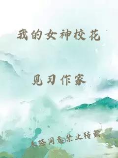 我的女神校花