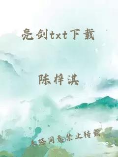 亮剑txt下载