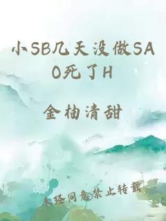 小SB几天没做SAO死了H