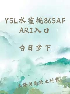 YSL水蜜桃86SAFARI入口