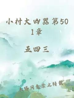 小村大凶器第501章