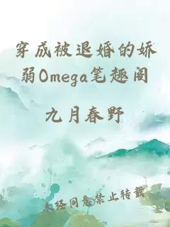 穿成被退婚的娇弱Omega笔趣阁