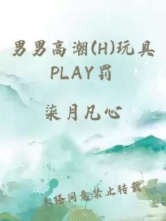 男男高潮(H)玩具PLAY罚