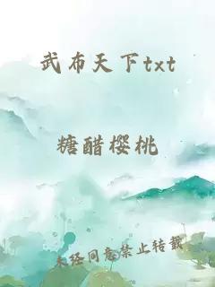 武布天下txt