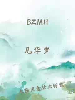 BZMH