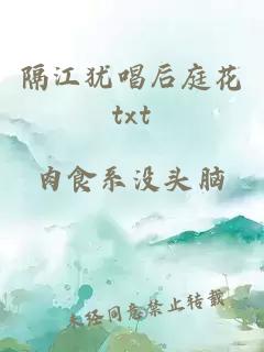 隔江犹唱后庭花txt