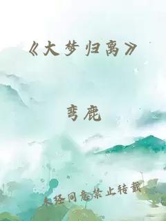 《大梦归离》