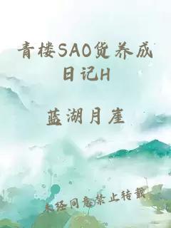 青楼SAO货养成日记H