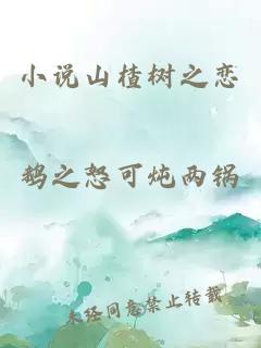 小说山楂树之恋