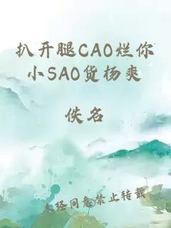 扒开腿CAO烂你小SAO货杨爽