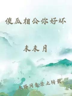 傻瓜相公你好坏