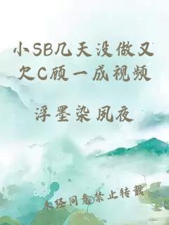 小SB几天没做又欠C顾一成视频