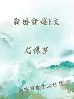 新婚翁熄h文