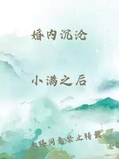 婚内沉沦