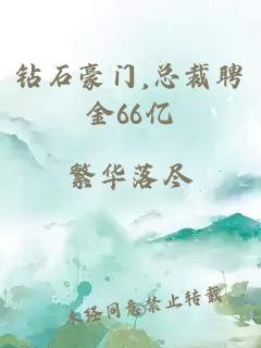 钻石豪门,总裁聘金66亿